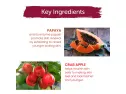 Himalaya Refreshing Fruit Mask With Papaya And Crab Apple For Normal To Dry Skin 5.07 Oz (150 Ml)