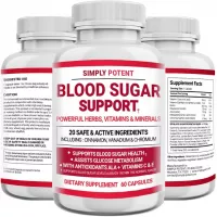 Blood Sugar Support Supplement, Natural Insulin Stabilizer, 20 Herb & Vitamin Blend with Cinnamon, Alpha Lipoic Acid (ALA), Bitter Melon, Chromium & Gymnema for Glucose Balance, Metabolism & Control