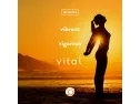 Vital Turmeric Gummies With Curcumin C3 Complex - First Gummy With Curcumin C3 - Turmeric Curcumin With Ginger For Joint And Inflammation Support - Tasty Alternative To Tumeric Capsules