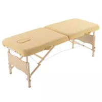 Adjustable Massage Table 2 Section Folding Massage Bed Salon Bed With Carry Case sale online in pakistan