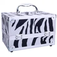 Cozywind Aluminum Makeup Train Case Jewelry Box Cosmetic Organizer Travel Make Up ArtistBuy  Box Cosmetic Makeup Carrier Storage Bag for Women with Mirror 9x6x6 (White Zebra) Online in Pakistan