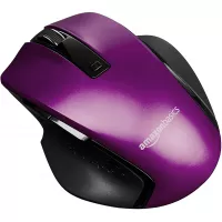 Buy AmazonBasics Compact Ergonomic Wireless PC Mouse with Fast Scrolling – Purple Online in Pakistan