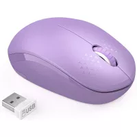 Wireless Mouse, 2.4G Noiseless Mouse with USB Receiver - seenda Portable Computer Mice Cordless Mouse for PC, Tablet, Laptop - Purple