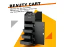 Giantex Salon Spa Beauty Rolling Trolley Cart, Storage Organizer With ..