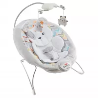 Fisher-Price Sweet Snugapuppy Dreams Deluxe Bouncer