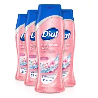 Dial Body Wash, Himalayan Salt, 21 Ounce (Pack of 4)