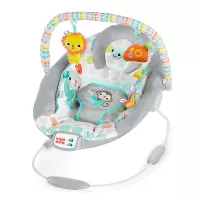 Bright Starts Whimsical Wild Cradling Bouncer Seat with Soothing Vibration & Melodies