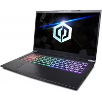 CYBERPOWERPC Tracer IV Xtreme 17.3" Gaming Notebook, Intel i7-10750H 2.6GHz, GeForce GTX 1650 Ti 4GB, 8GB DDR4, 240GB SSD, WiFi, Bluetooth & Win 10 Home (GTS99805)