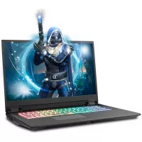 Sager NP8378F2 17.3-Inch FHD 144Hz G-Sync Gaming Laptop, Intel i7-10875H, RTX 2070 Super, 32GB 3200 RAM, 1TB NVMe + 1TB NVMe SSD, RGB N-Key Rollover