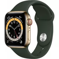 New Apple Watch Series 6 (GPS + Cellular, 40mm) - Gold Stainless Steel Case with Cyprus Green Sport Band
