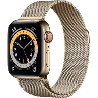 New Apple Watch Series 6 (GPS + Cellular, 40mm) - Gold Stainless Steel Case with Gold Milanese Loop