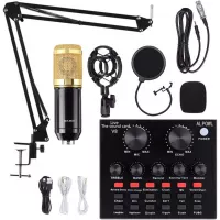 Condenser Microphone Bundle, ALPOWL BM 800 Condenser Microphone Kit with Live Sound Card, Adjustable Mic Stand, Metal Shock Mount and Double-Layer Pop Filter for Studio Recording & Broadcasting (Gold)