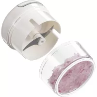 Mini Food Chopper